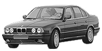 BMW E34 P3125 Fault Code